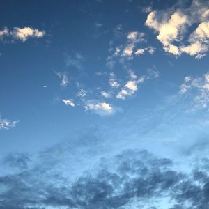 Meet your Posher, Ally